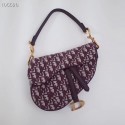 Dior SADDLE BAG CANVAS M0446 purplish JH07298Ce27