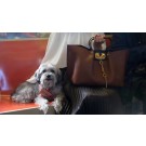 VALENTINO Origianl leather tote 2080 brown JH09604uf15