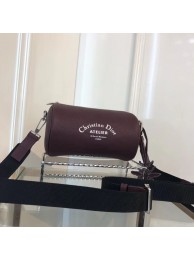 Dior Original GRAINED CALFSKIN ROLLER POUCH WITH ATELIER PRINT 1ATPO061 fuchsia JH07519uq12