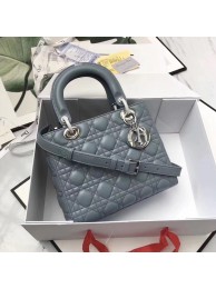High Quality Fake LADY DIOR-TAS VAN LAMSLEER CAL44550 grey blue JH07340WC64